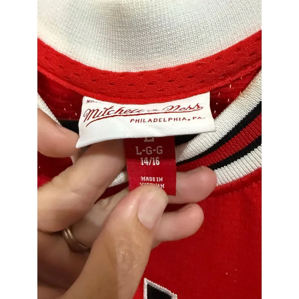 Jordan Bulls Mitchell & Ness Jersey Youth L